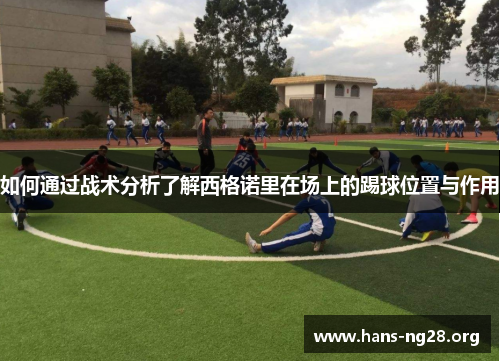 如何通过战术分析了解西格诺里在场上的踢球位置与作用