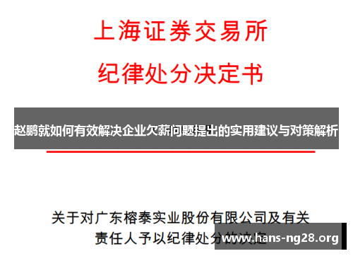 赵鹏就如何有效解决企业欠薪问题提出的实用建议与对策解析
